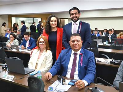 Foto da Notícia: Conselheiros federais da OAB-MT discutem e decidem pautas sobre honorários, sociedades, citação eletrônica e demais questões da advocacia